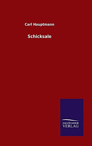 9783846086230: Schicksale (German Edition)