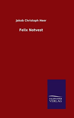 9783846086278: Felix Notvest