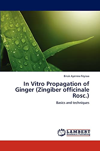 Stock image for In Vitro Propagation of Ginger (Zingiber officinale Rosc.): Basics and techniques for sale by Lucky's Textbooks