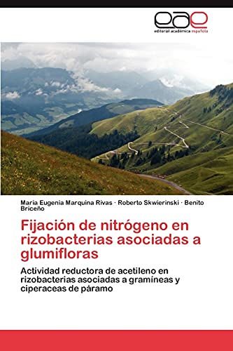 Beispielbild fr Fijacion de nitrogeno en rizobacterias asociadas a glumifloras zum Verkauf von Chiron Media