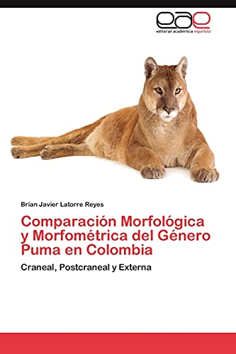 puma animal genero