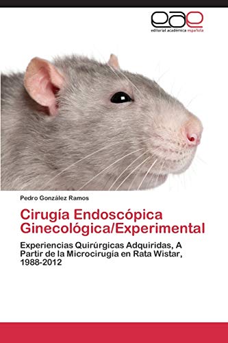 Imagen de archivo de Cirugia Endoscopica Ginecologica/Experimental a la venta por Chiron Media