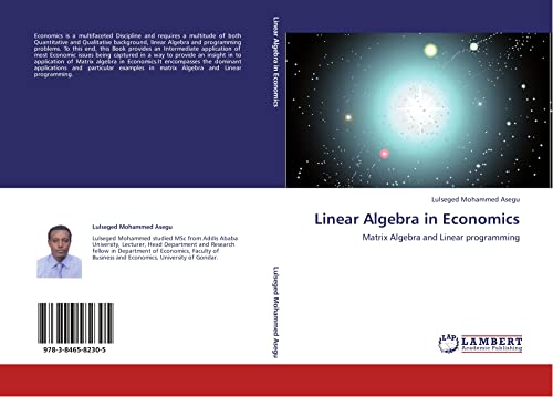 linear programming in economics