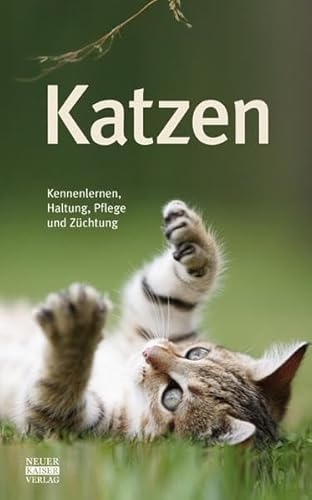 Imagen de archivo de Katzen a la venta por Decluttr