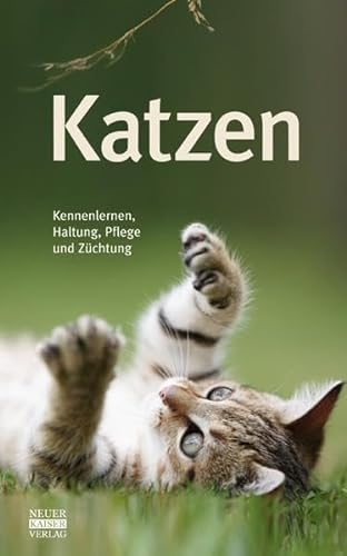 Stock image for Katzen for sale by Decluttr