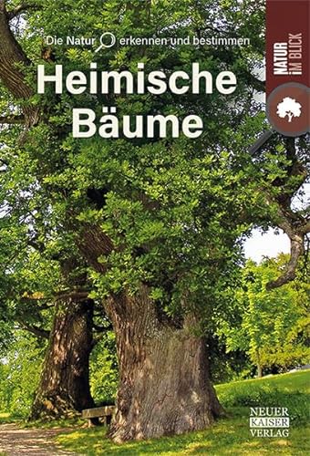 Stock image for Bume for sale by GreatBookPrices