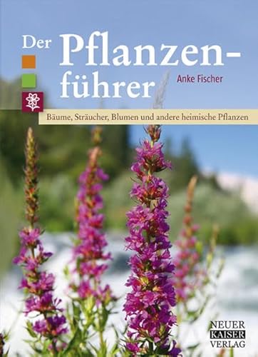 Stock image for Der Pflanzenfhrer -Language: german for sale by GreatBookPrices