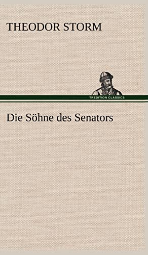 Die Sohne Des Senators (German Edition) (9783847262305) by Storm, Theodor