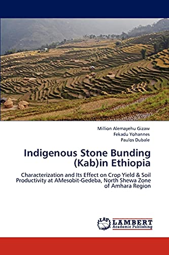 9783847311720: Indigenous Stone Bunding (Kab)in Ethiopia: Characterization and Its Effect on Crop Yield & Soil Productivity at AMesobit-Gedeba, North Shewa Zone of Amhara Region