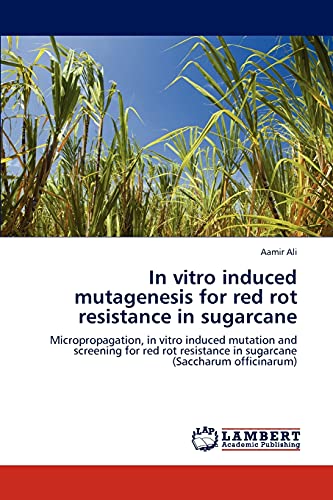 Stock image for In vitro induced mutagenesis for red rot resistance in sugarcane: Micropropagation, in vitro induced mutation and screening for red rot resistance in sugarcane (Saccharum officinarum) for sale by Lucky's Textbooks