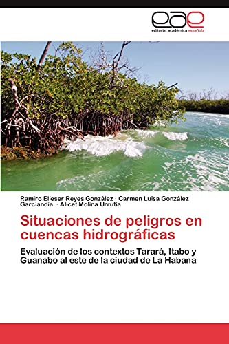 Stock image for Situaciones de peligros en cuencas hidrograficas for sale by Chiron Media