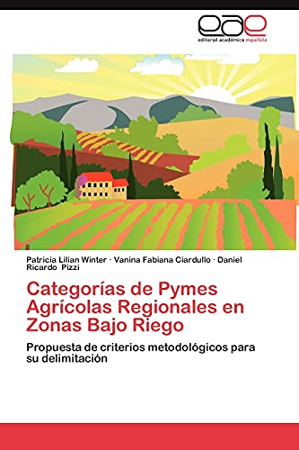 9783847354482: Categoras de Pymes Agrcolas Regionales en Zonas Bajo Riego: Propuesta de criterios metodolgicos para su delimitacin