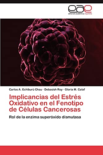 9783847362593: Implicancias del Estrs Oxidativo en el Fenotipo de Clulas Cancerosas: Rol de la enzima superxido dismutasa (Spanish Edition)