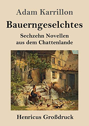 Stock image for Bauerngeselchtes (Gro druck):Sechzehn Novellen aus dem Chattenlande for sale by Ria Christie Collections