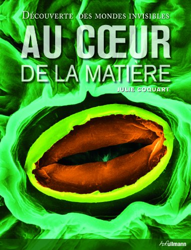 9783848001866: AU COEUR DE LA MATIERE. A LA DECOUVERTE DES MONDES INVISIBLES (REFERENCES) (French Edition)