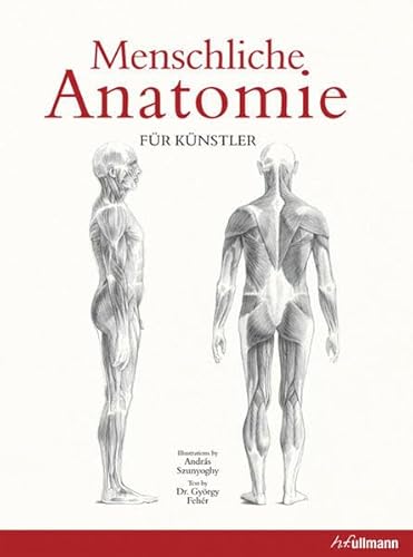 Beispielbild fr Menschliche Anatomie fr Knstler zum Verkauf von medimops