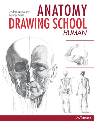 Beispielbild fr Anatomy Drawing School: Human Body (Anatomy Drawing School 1) zum Verkauf von Stephen White Books