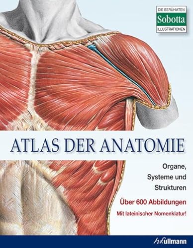 Imagen de archivo de Atlas der Anatomie: Organe, Systeme und Strukturen. Mit lateinischer Nomenklatur. a la venta por medimops