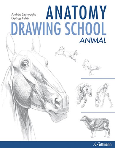 Beispielbild fr Anatomy Drawing School: Animal Anatomy zum Verkauf von HPB Inc.