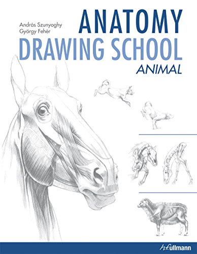Stock image for Anatomy Drawing School: Animal Anatomy for sale by GF Books, Inc.