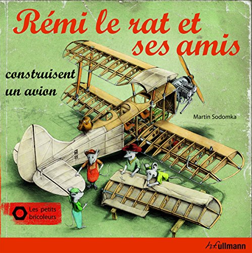 Beispielbild fr Rmi Le Rat Et Ses Amis Construisent Un Avion zum Verkauf von RECYCLIVRE