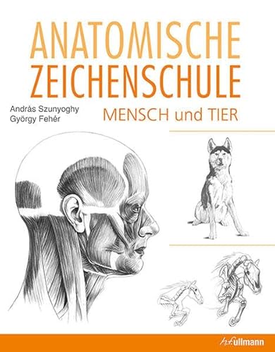 Imagen de archivo de Anatomische Zeichenschule Mensch & Tier a la venta por medimops