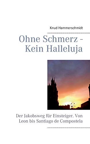 Stock image for Ohne Schmerz - Kein Halleluja:Der Jakobsweg fr Einsteiger. Von Leon bis Santiago de Compostela for sale by Blackwell's