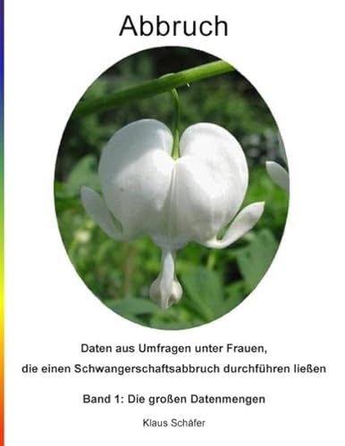 Abbruch (German Edition) (9783848215829) by SchÃ¤fer, Klaus