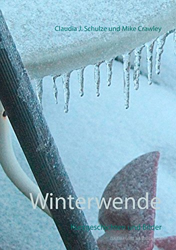 9783848226764: Winterwende: Kurzgeschichten und Bilder
