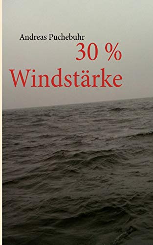 9783848251650: 30 % Windstrke (German Edition)