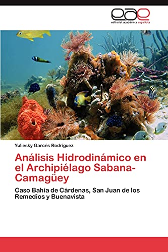 Imagen de archivo de Analisis Hidrodinamico En El Archipielago Sabana-Camaguey a la venta por Chiron Media