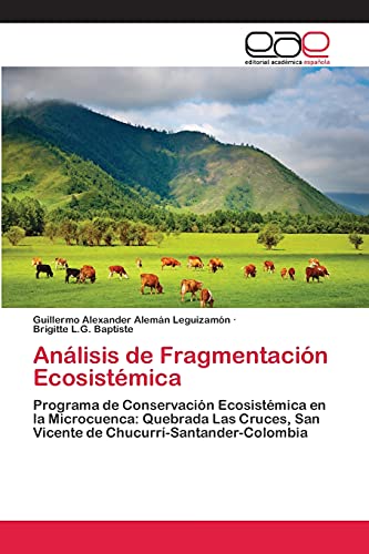 9783848459254: Anlisis de Fragmentacin Ecosistmica: Programa de Conservacin Ecosistmica en la Microcuenca: Quebrada Las Cruces, San Vicente de Chucurr-Santander-Colombia
