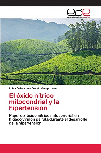 Stock image for El xido ntrico mitocondrial y la hipertensin (Spanish Edition) for sale by Lucky's Textbooks