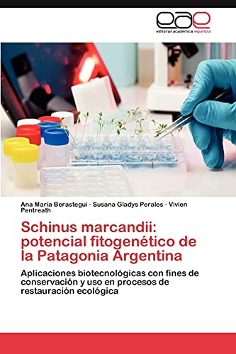 9783848464333: Schinus marcandii: potencial fitogentico de la Patagonia Argentina: Aplicaciones biotecnolgicas con fines de conservacin y uso en procesos de ... Fitogenetico de La Patagonia Argentina