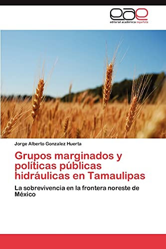 9783848464814: Grupos marginados y polticas pblicas hidrulicas en Tamaulipas: La sobrevivencia en la frontera noreste de Mxico (Spanish Edition)