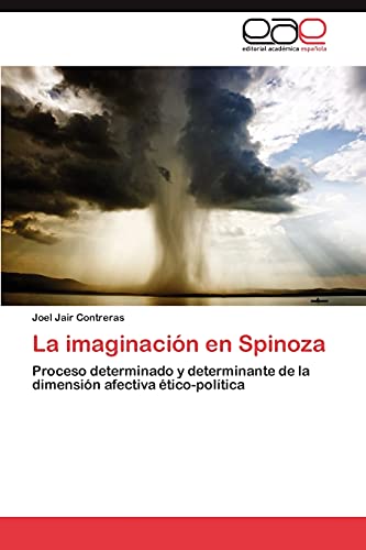 Imagen de archivo de La Imaginacion En Spinoza a la venta por Chiron Media