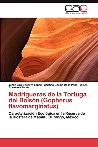 9783848473311: Madrigueras de la Tortuga del Bolsn (Gopherus flavomarginatus): Caracterizacin Ecolgica en la Reserva de la Biosfera de Mapim, Durango, Mxico (Spanish Edition)