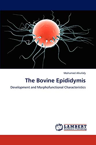 Stock image for The Bovine Epididymis: Development and Morphofunctional Characteristics for sale by Lucky's Textbooks