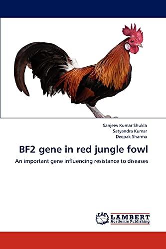 Stock image for BF2 gene in red jungle fowl: An important gene influencing resistance to diseases for sale by Lucky's Textbooks