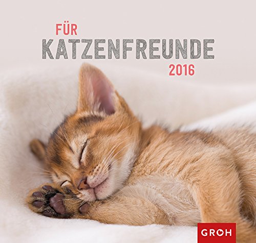 9783848512904: Fr Katzenfreunde 2016: Wandkalender