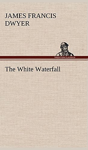 9783849161330: The White Waterfall