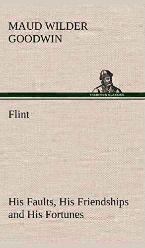 9783849181567: Flint His Faults, His Friendships and His Fortunes