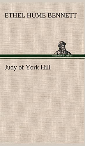 Stock image for Judy of York Hill for sale by Lucky's Textbooks