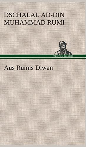 9783849536251: Aus Rumis Diwan (German Edition)