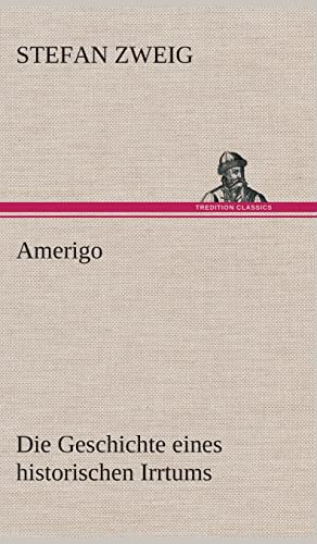 9783849537234: Amerigo: Die Geschichte eines historischen Irrtums