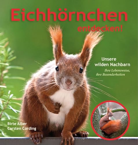 Eichhörnchen entdecken! - Carsten Cording