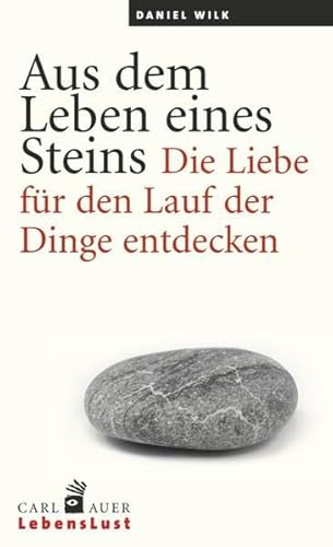 9783849700379: Aus dem Leben eines Steins: Die Liebe fr den Lauf der Dinge entdecken