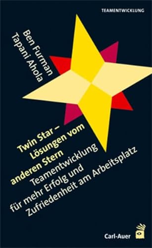 Twin Star - Lösungen von anderen Stern: Teamentwicklung für mehr Erfolg und Zufriedenheit am Arbeitsplatz - Furman Ben, Ahola Tapani, Hildenbrand Astrid