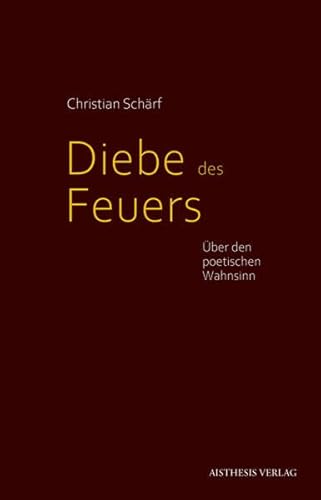 Beispielbild fr Diebe des Feuers: ber den poetischen Wahnsinn zum Verkauf von medimops