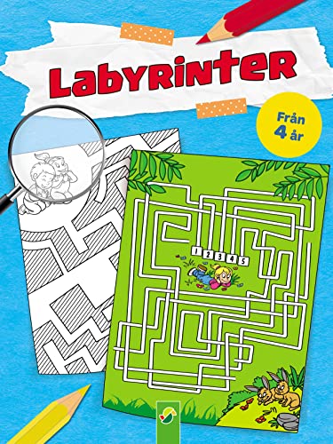 9783849901318: Labyrinter